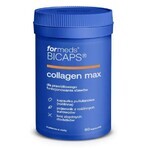 Bicaps Colagen MAX, Kollagen, 60 Kapseln, Formeds