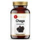 Chaga extract 10% polizaharide (90 capsule) YANGO