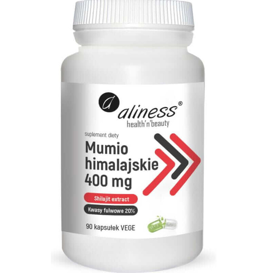 Himalaya mumie 400 mg 90 gélules végétales Aliness