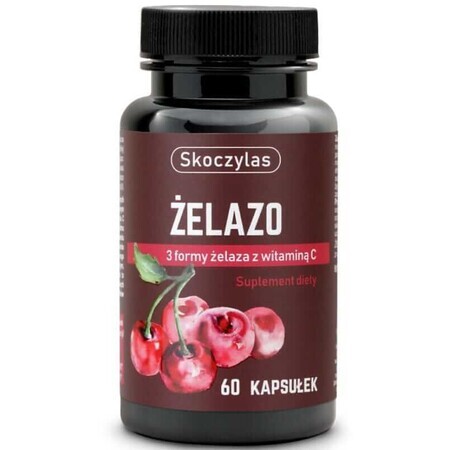 Skoczylas Hierro 3 formas con vitamina C 60 cápsulas