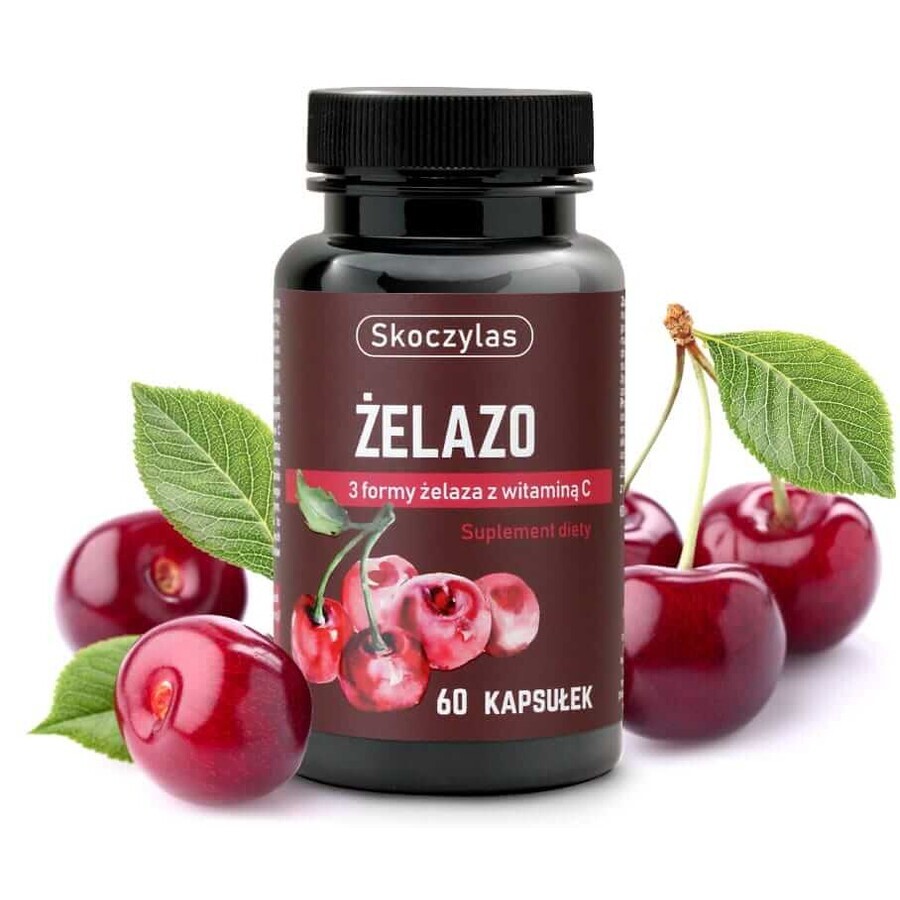 Skoczylas Hierro 3 formas con vitamina C 60 cápsulas