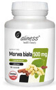 Moras Blancas con Canela y Cromo 500 mg 180 comprimidos Aliness