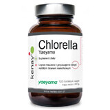 Chlorella Yaeyama (paredes celulares rotas) 120 comprimidos Kenay