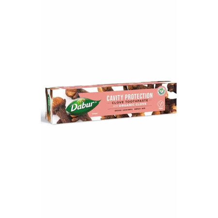 Clove Toothpaste 100 ml Dabur