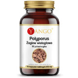 Polyporus Polygonum 90 capsule Yango