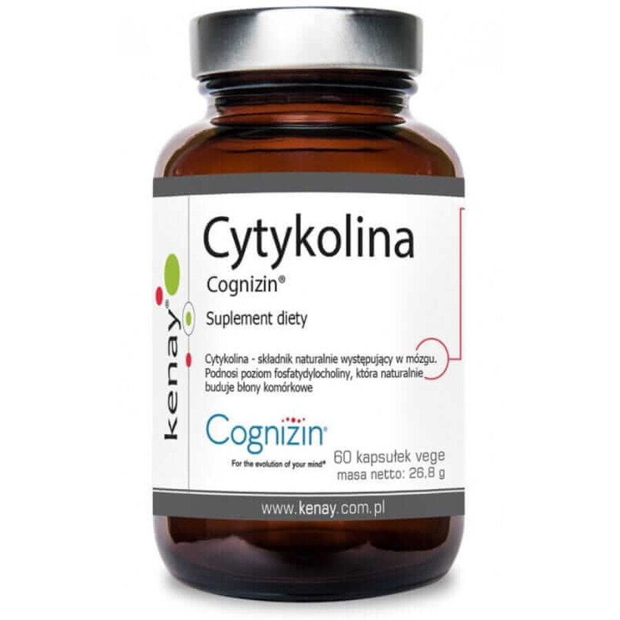 Cyticoline Cognizin 60 cápsulas vegetales Kenay