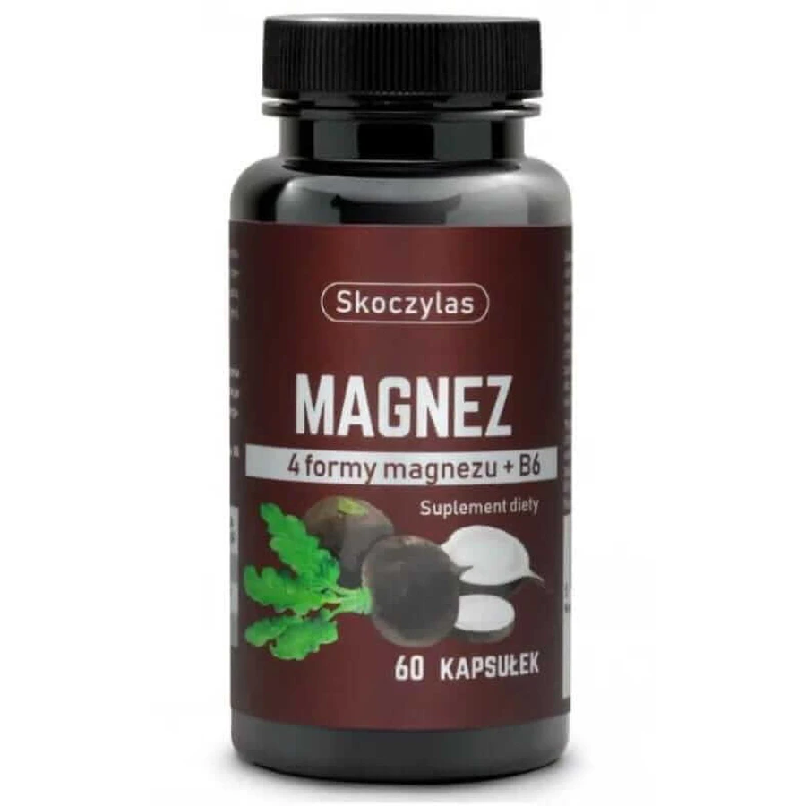 Skoczylas Magnesium 4 forms - turnip black 60 capsules