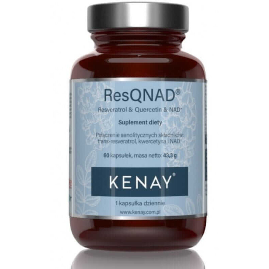 ResQNAD Resveratrol & Quercetin & NAD+ (Resveratrol, Quercetin, NAD) (60 Kapseln) Kenay