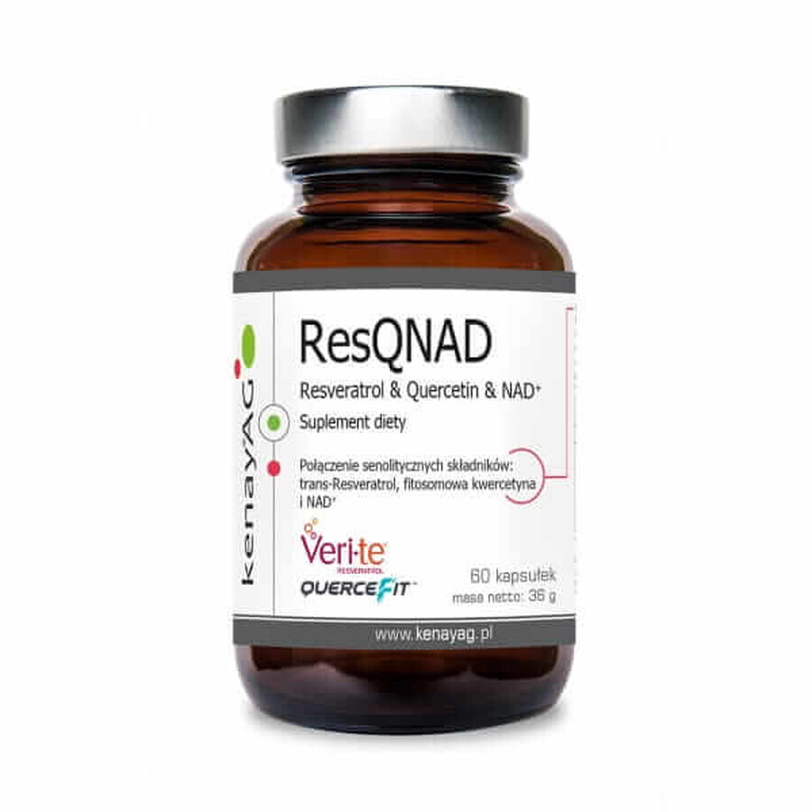 ResQNAD Resveratrol & Quercetin & NAD+ (Resveratrol, Quercetin, NAD) (60 Kapseln) Kenay