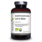 Lion's Mane 300 capsules Kenay