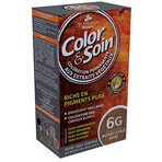 Color & Soin (rubio dorado oscuro) 6G 135ml