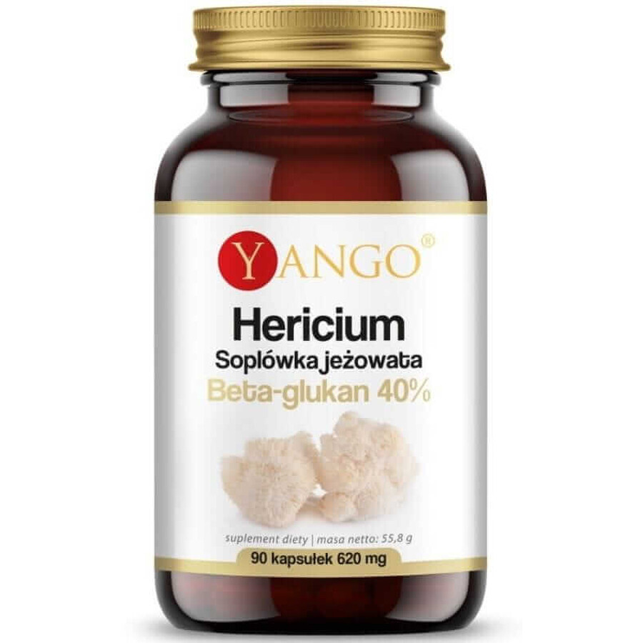 Hericium - Sophora coneflower - 40% Beta-glucan - 90 capsule Yango