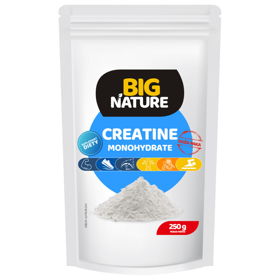 Creatina monohidrato 250 g Big Nature