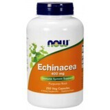 NOW Foods Echinacea (Equinácea) 400mg - 250 cápsulas