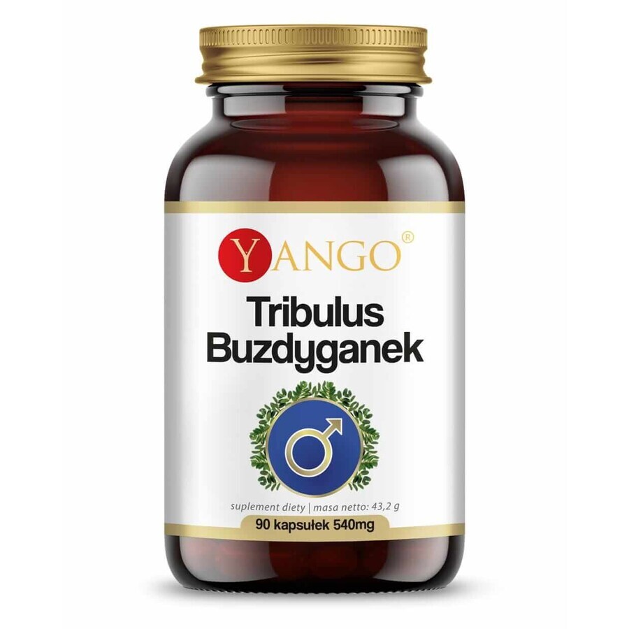 Tribulus Mace 540mg 90 cápsulas, Yango