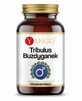 Tribulus Mace 540mg 90 c&#225;psulas, Yango