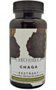 Chaga 50g Archangelis Roxanthus y amigos