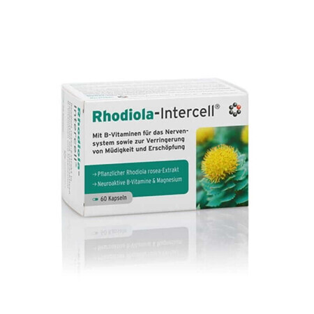 Rhodiola-Intercell extract de Rhodiola rosea 60 capsule INTERCELL