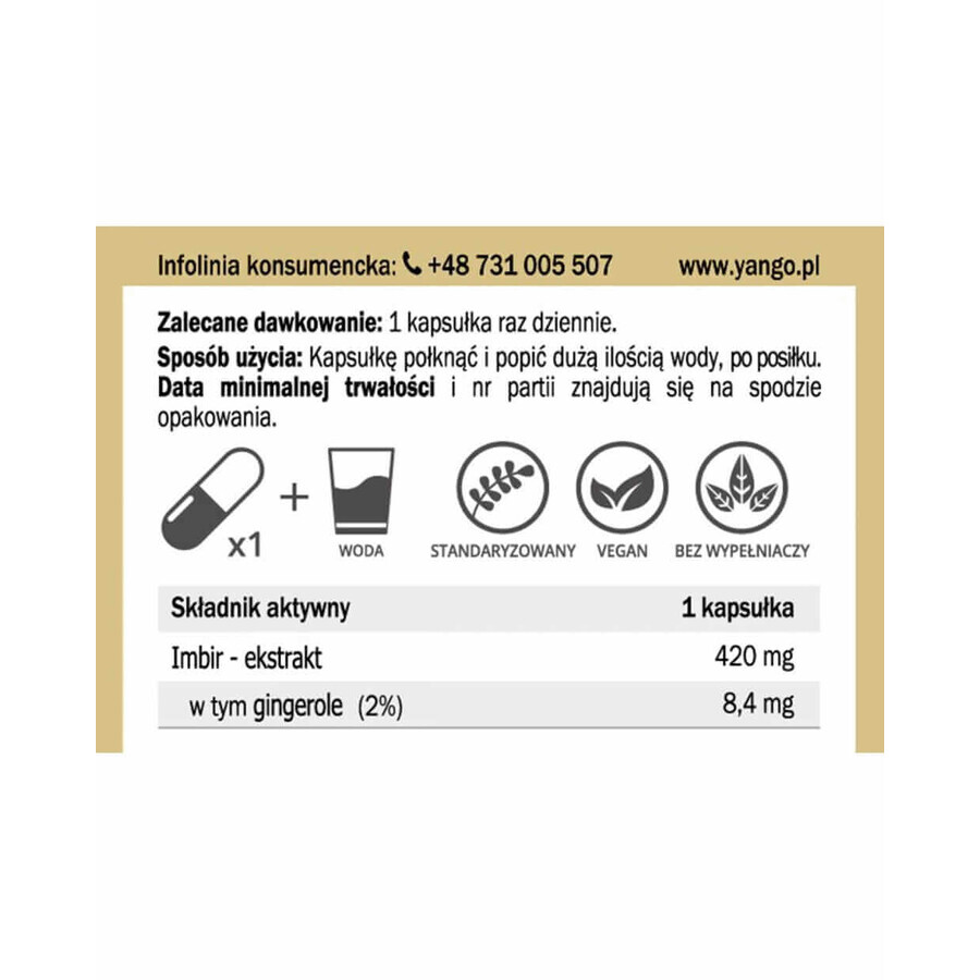 Ingwer - Extrakt - 90 Kapseln YANGO