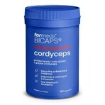 Bicaps Cordyceps 60 cápsulas - Formeds