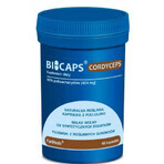 Bicaps Cordyceps 60 cápsulas - Formeds