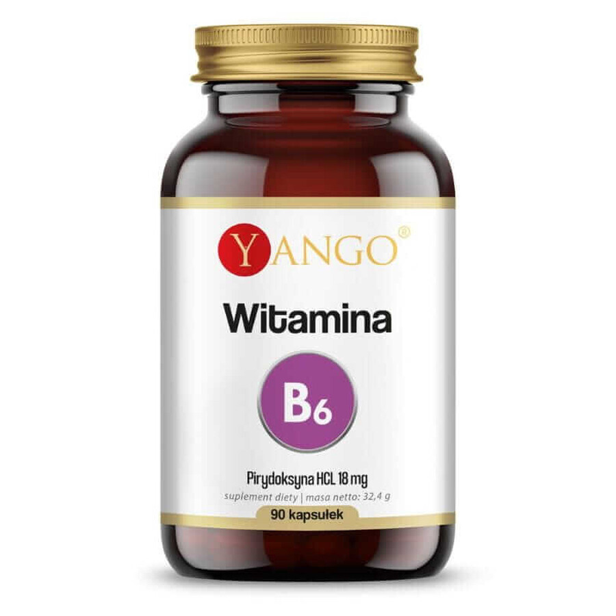 Vitamin B6 (pyridoxine HCL) 90 capsules Yango