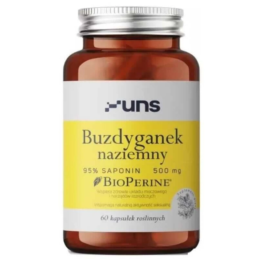 Macis 60 cápsulas UNS
