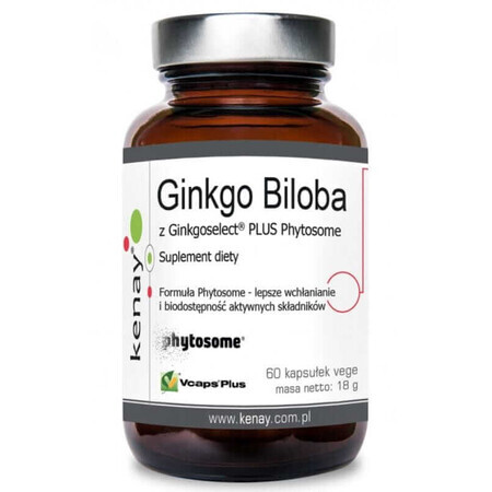 Ginkgo Biloba mit Ginkgoselect Phytosom 60 Kapseln, Kenay