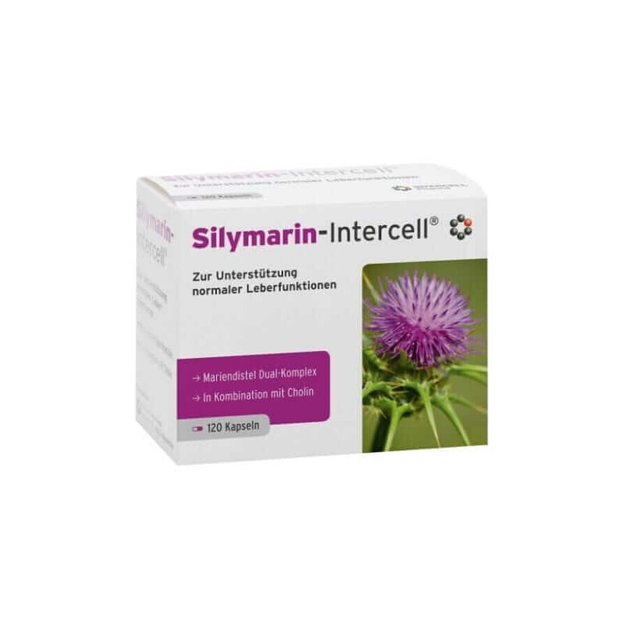 Silimarina-Intercell (apoyo hepático) 120 cápsulas, Intercell