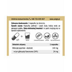 Ginkgo biloba extracto 24% (100mg 90 cápsulas) Yango