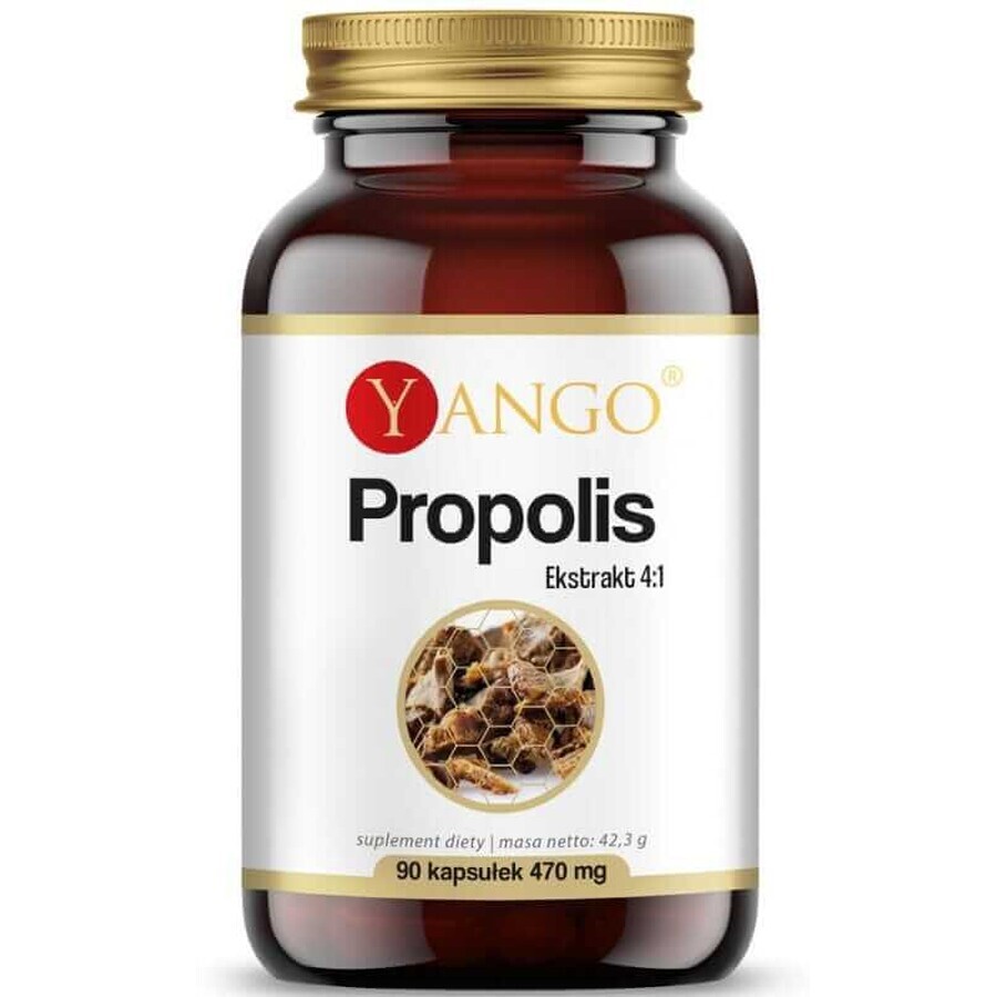 Propolis extract 4:1 (90 capsule) Yango