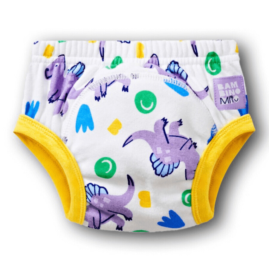 Potty Training Slipjes, 3-4 jaar, Crash, 1 stuk, Bambino Mio