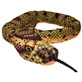 Peluche serpente Anaconda, +0 mesi, 137 cm, Wild Republic