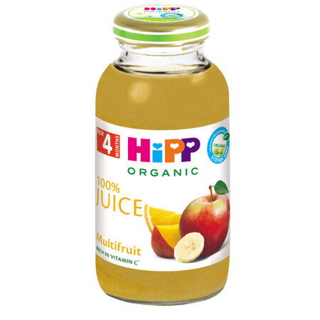 Multifruct Organic Fruit Juice, +4 months, 200 ml, Hipp