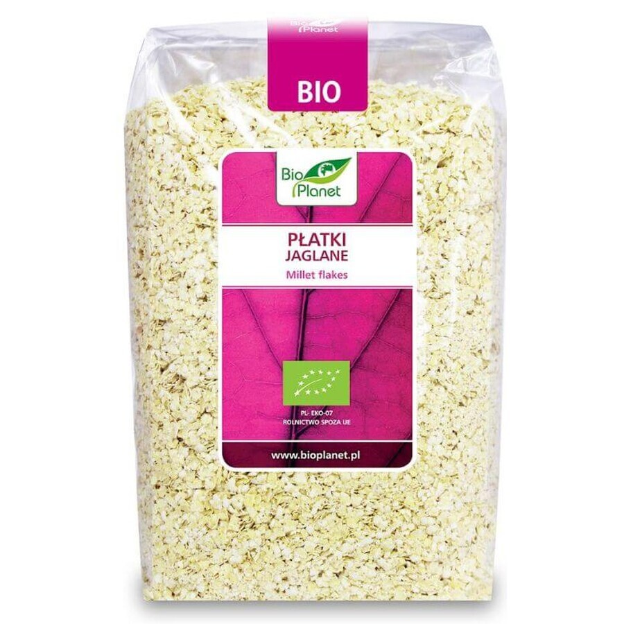 Copos de trigo sarraceno BIO 600 g BIO PLANET