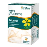Tribulus Wellness, 60 comprimidos recubiertos con película, Himalaya India