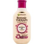 Garnier TERAPIA BOTÁNICA ACEITE DE RICINUS CHAMPÚ 1×250 ml, champú