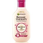 Garnier TERAPIA BOTÁNICA ACEITE DE RICINUS CHAMPÚ 1×250 ml, champú