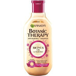 Garnier TERAPIA BOTÁNICA ACEITE DE RICINUS CHAMPÚ 1×250 ml, champú