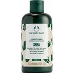 The Body Shop Balsamo per capelli secchi e fragili Shea Shea 1×250 ml, balsamo