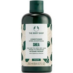 The Body Shop Balsamo per capelli secchi e fragili Shea Shea 1×250 ml, balsamo