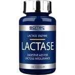 Scitec Nutrition Lactase Enzyme 1×100 cps, suplemento dietético