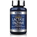 Scitec Nutrition Lactase Enzyme 1×100 cps, suplemento dietético