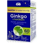 GS Ginkgo 60 mg cu magneziu 1×120 tbl, supliment alimentar