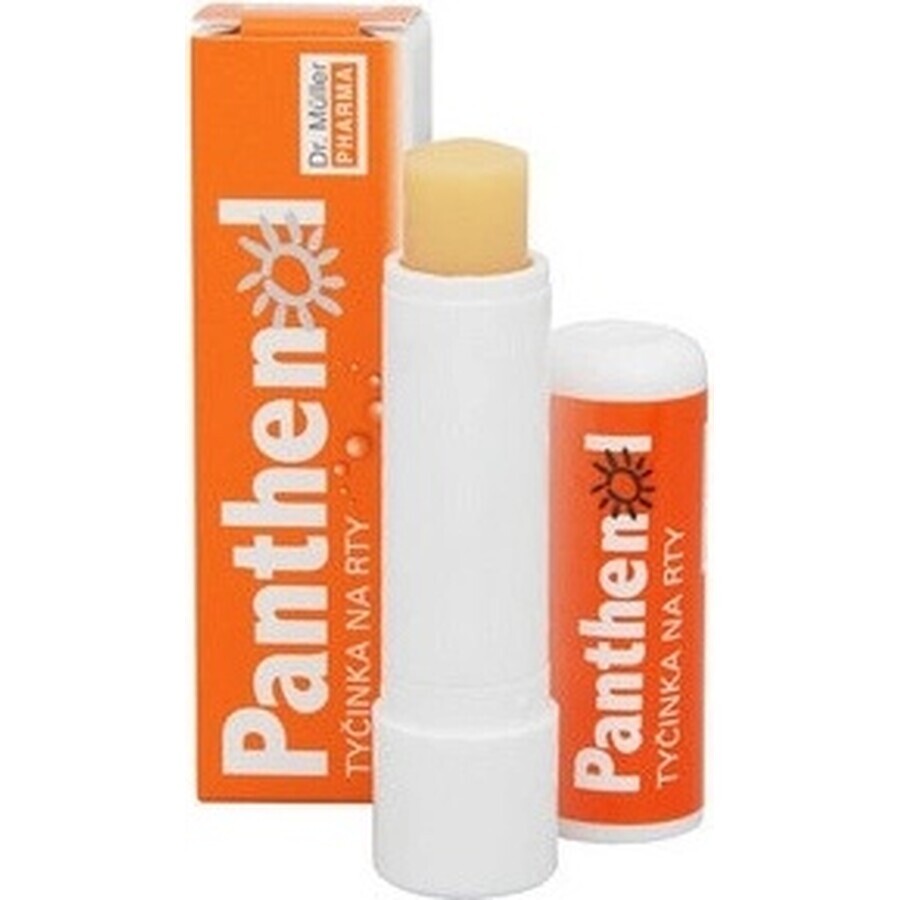 PANTHENOL PERY POMADE 4.4G DR.MULLER 1×1 pc, for dry lips