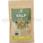 Allnature Kelp polvere biologica 100g 1×100g