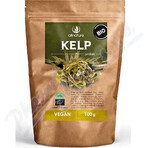 Allnature Kelp polvere biologica 100g 1×100g