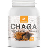 Allnature Chaga 1×100 cps, food supplement