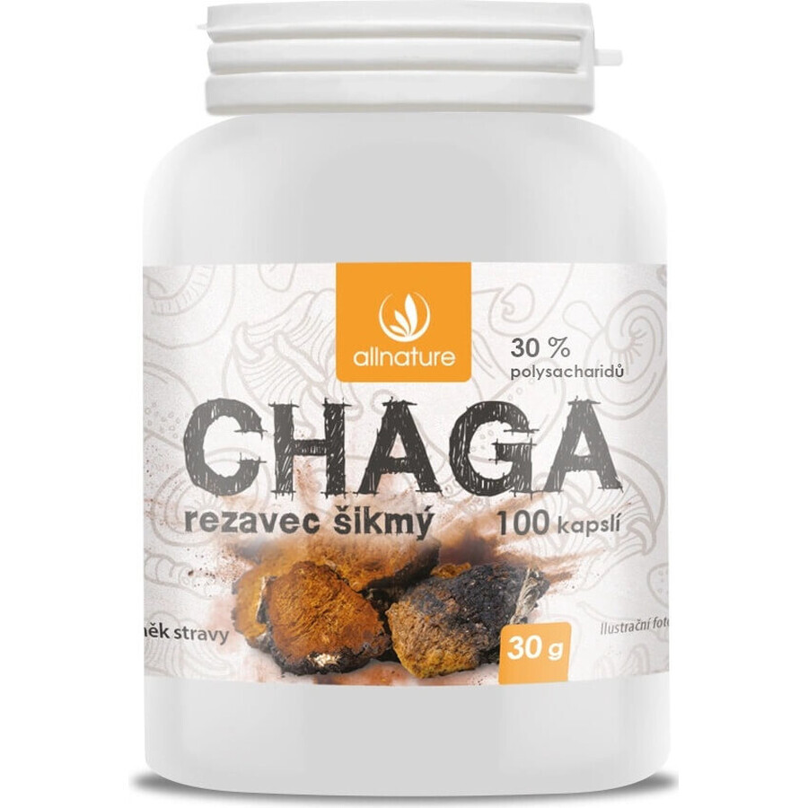 Allnature Chaga 1×100 cps, Nahrungsergänzungsmittel