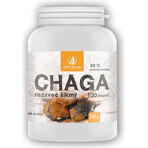 Allnature Chaga 1×100 cps, Nahrungsergänzungsmittel